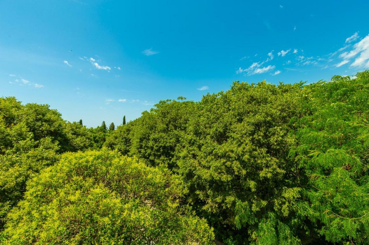 Hedera Estate, Hedera A1 Leilighet Dubrovnik Eksteriør bilde